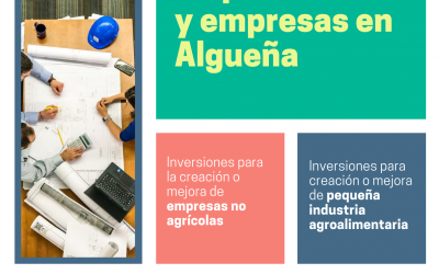 AYUDAS LEADER PARA EMPRENDEDORES/AS Y EMPRESAS DE ALGUEÑA