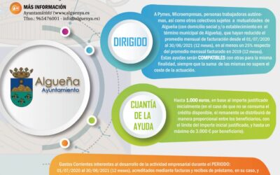 PLAN DE AYUDAS POR COVID-19  CON DESTINO A PYMES, MICROEMPRESAS Y PERSONAS TRABAJADORAS AUTÓNOMAS DE ALGUEÑA