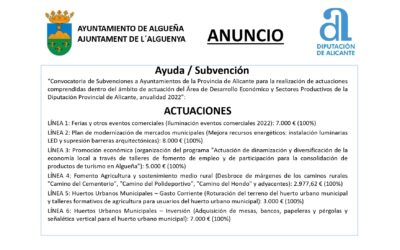 ANUNCIO – Subvenciones del Área de Desarrollo Económico y Sectores Productivos 2022