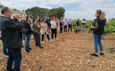 PARTICIPACIÓN EN LA JORNADA DE FORMACIÓN A LA RUTA DEL VINO DE YECLA