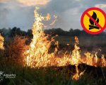 La Generalitat Valenciana decreta la suspensión de quemas de restos agrícolas
