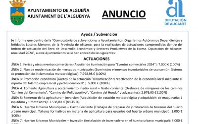 ANUNCIO – Subvención dentro de la “Convocatoria de subvenciones a Ayuntamientos, Organismos Autónomos Dependientes y Entidades Locales Menores de la Provincia de Alicante, para la realización de actuaciones comprendidas dentro del ámbito de actuación del Área de Desarrollo Económicos y Sectores Productos de la Excma. Diputación de Alicante, anualidad 2024”