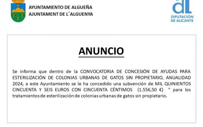 ANUNCIO – Subvención con destino a “Tratamientos de esterilización de colonias urbanas de gastos sin propietario”